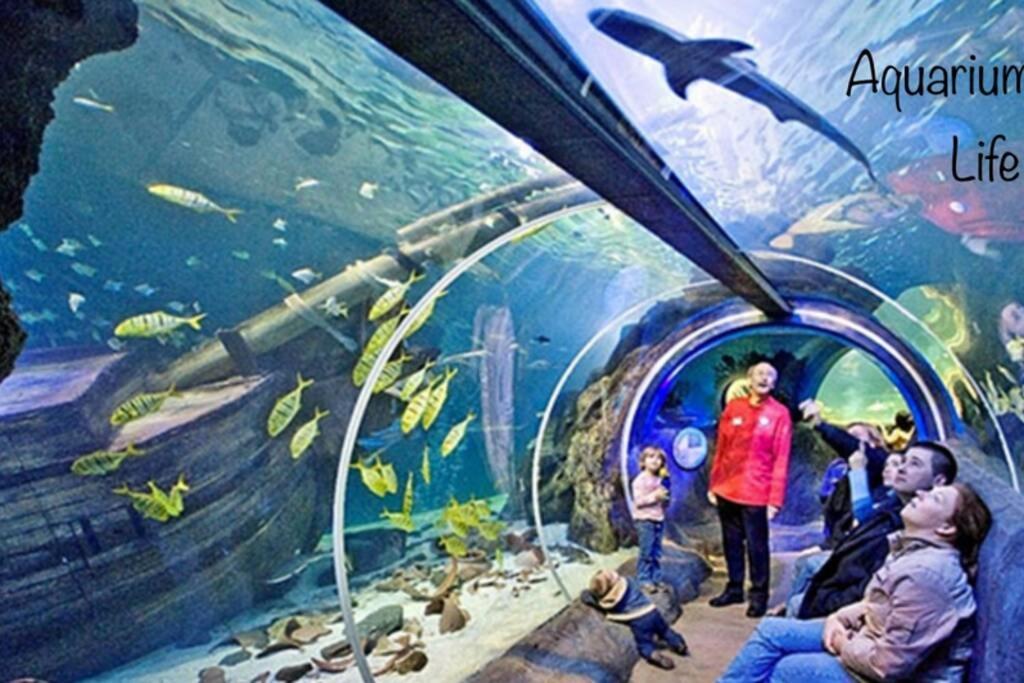 Studio 2 Adultes 2 Enfants Parcs Disneyland Paris Монтеврен Экстерьер фото